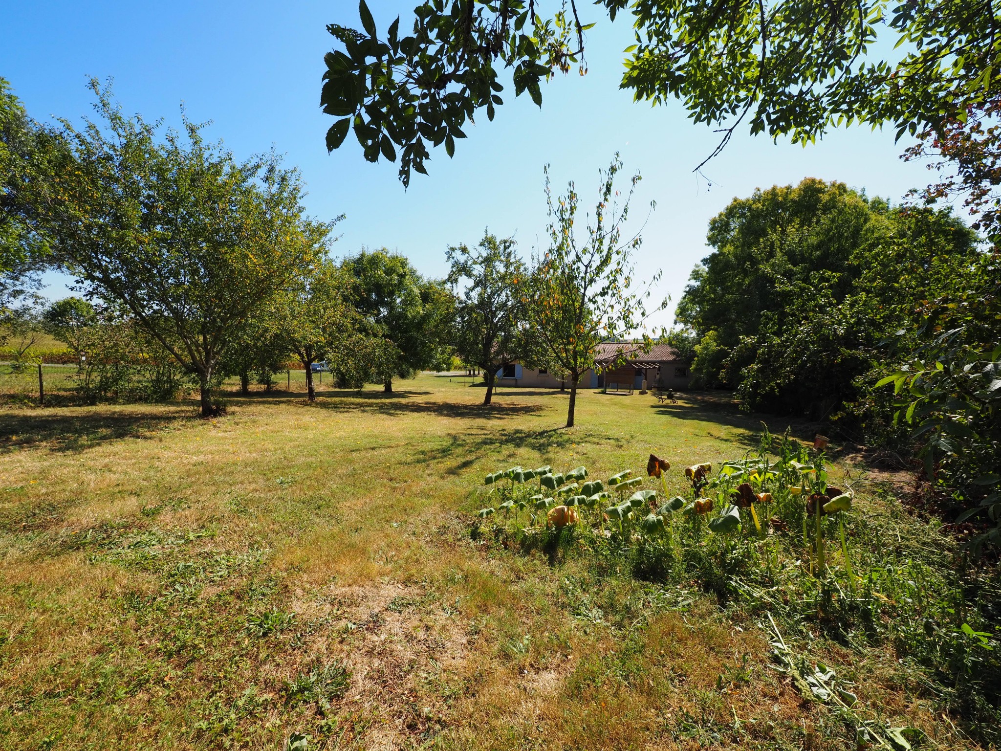 Vente Maison à Marmande 6 pièces