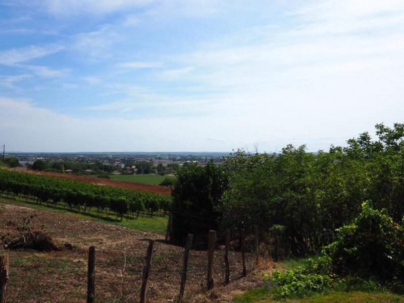 Vente Maison à Beaupuy 10 pièces