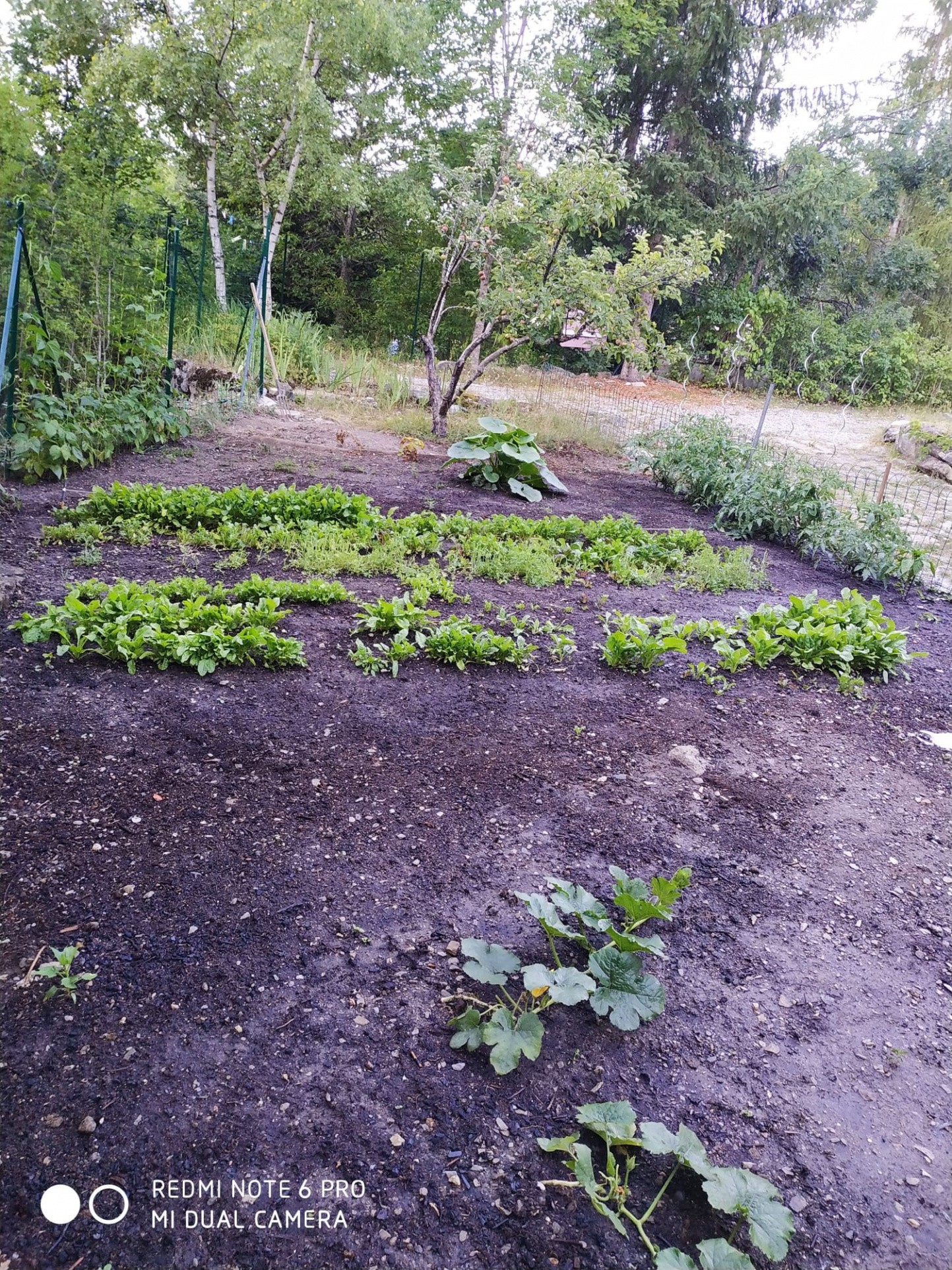 Vente Maison à Beauvezer 6 pièces