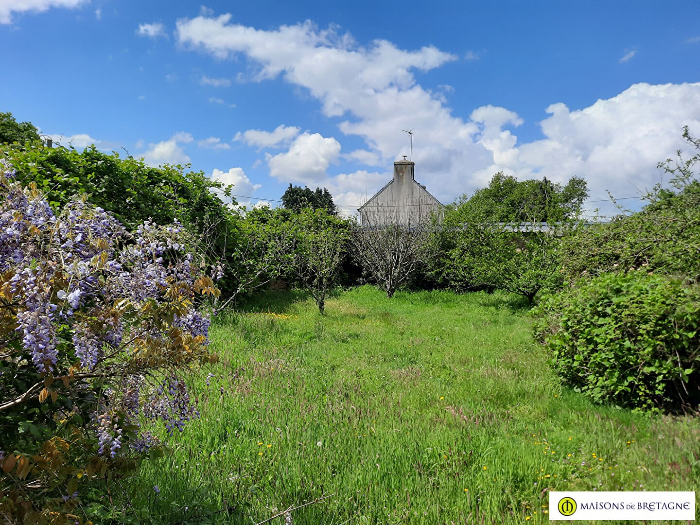 Vente Maison à Saint-Thurien 10 pièces