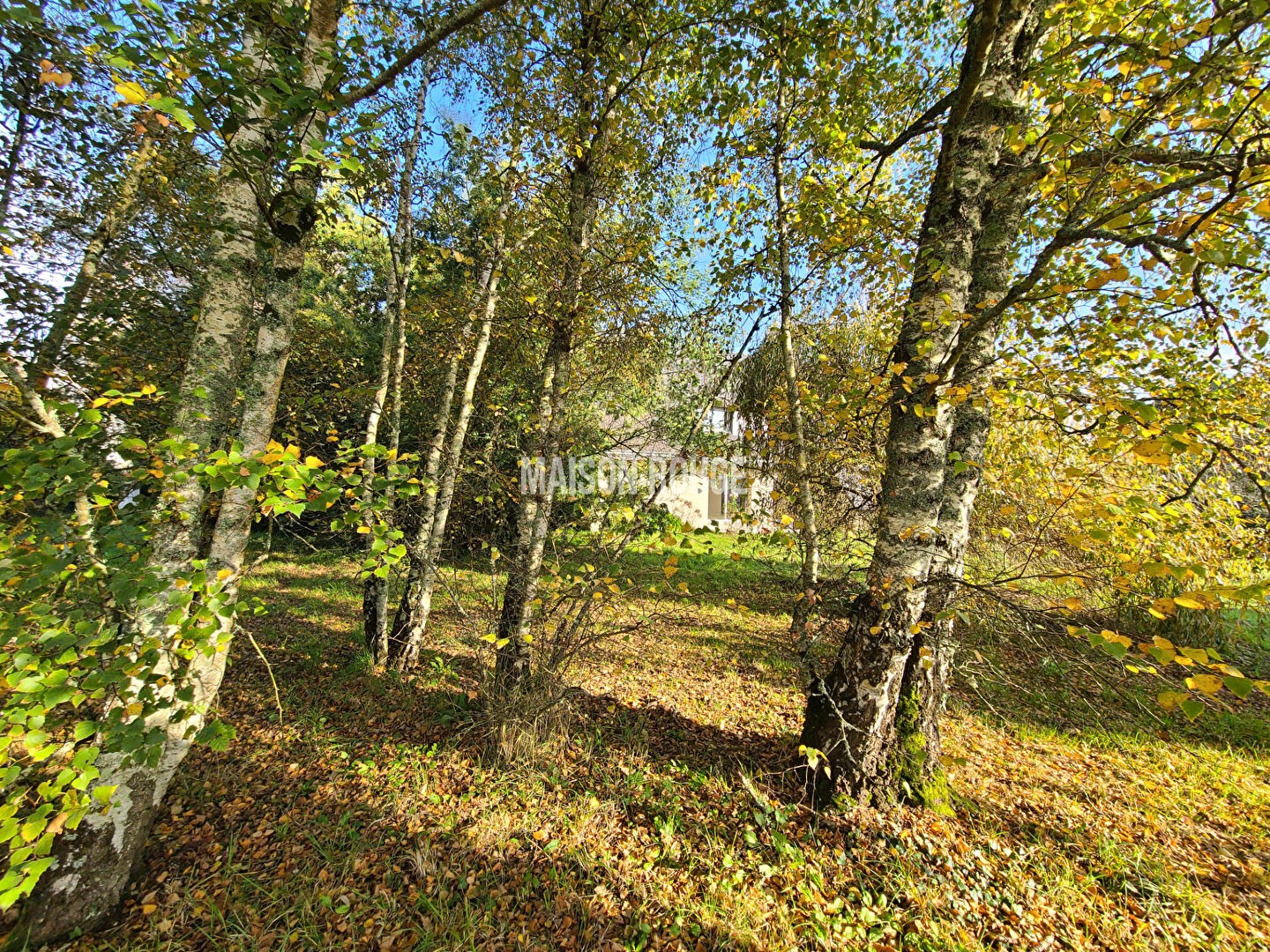 Vente Maison à Baden 6 pièces