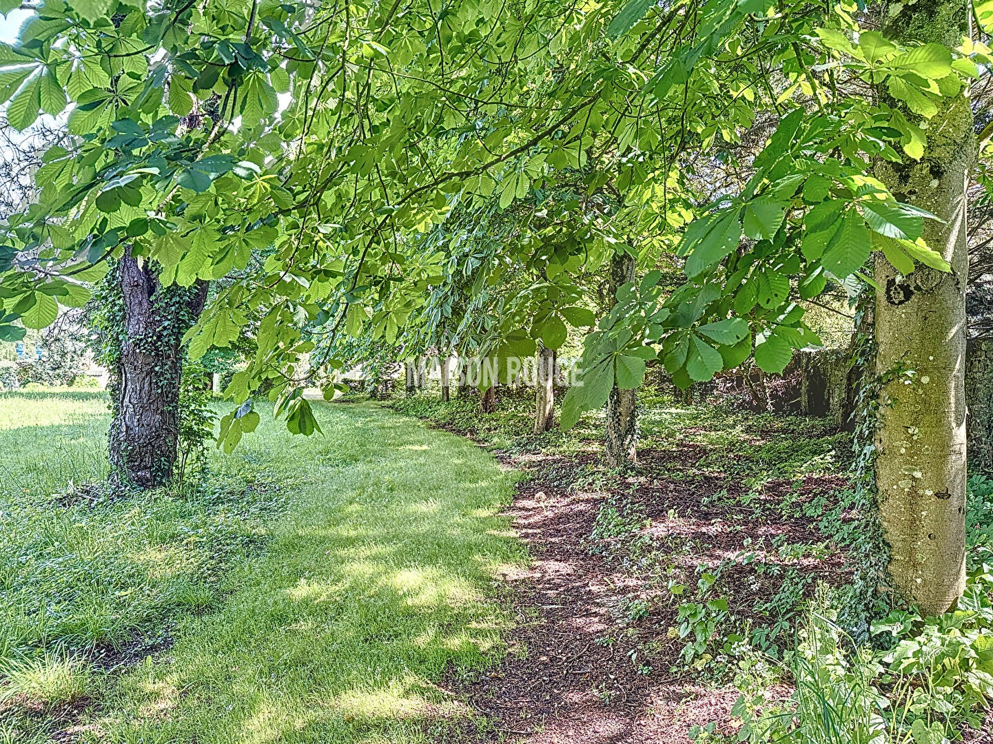 Vente Maison à Rennes 11 pièces