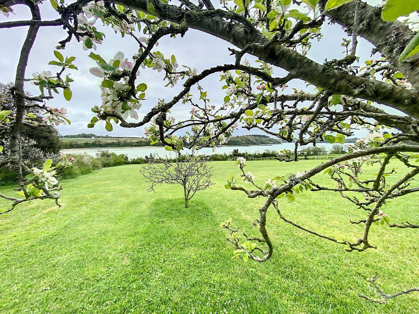 Vente Maison à Saint-Malo 7 pièces