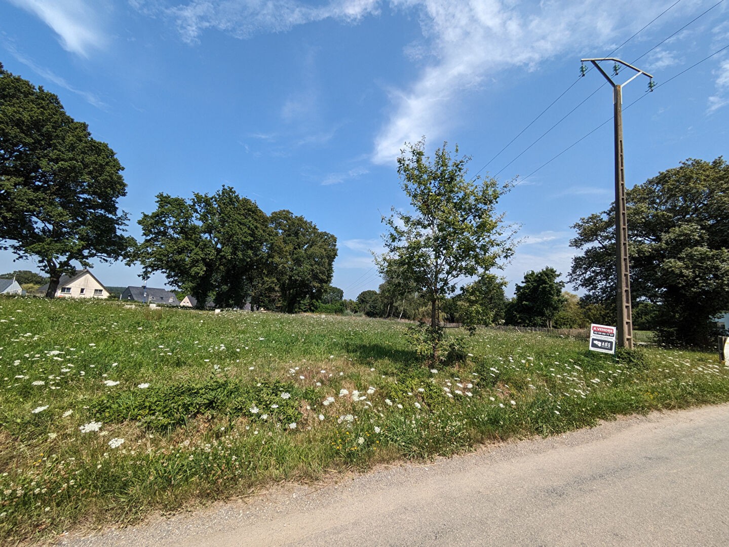 Vente Terrain à Saint-Dolay 0 pièce