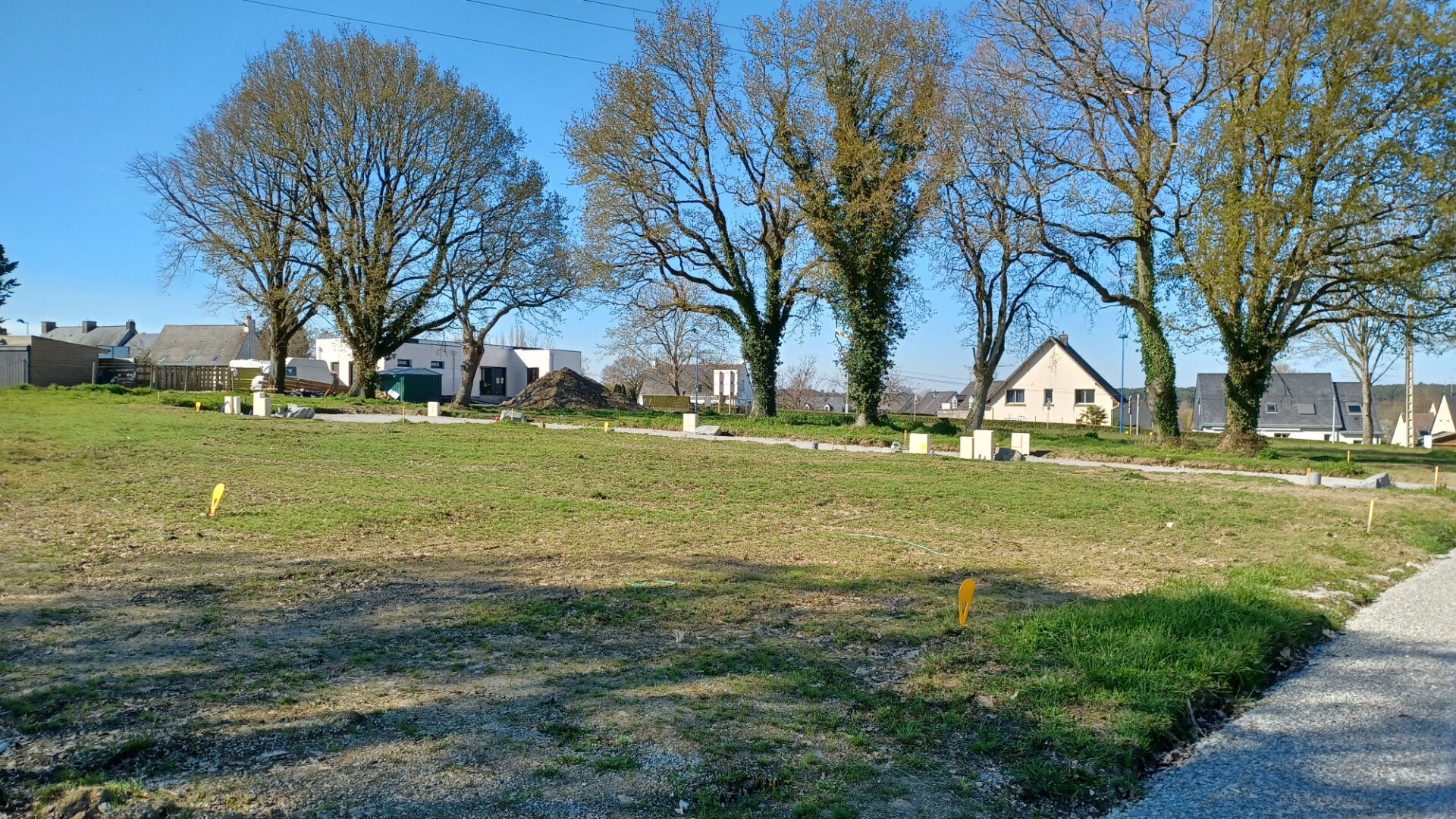 Vente Terrain à Saint-Dolay 0 pièce