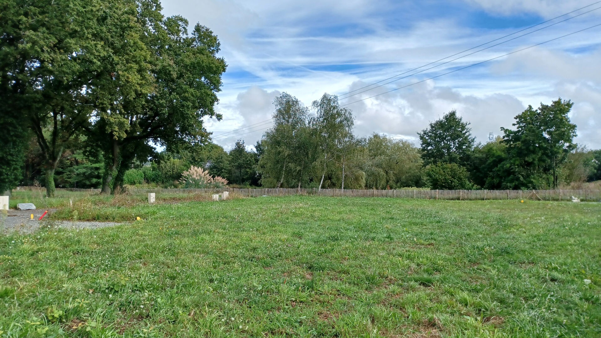 Vente Terrain à Saint-Dolay 0 pièce