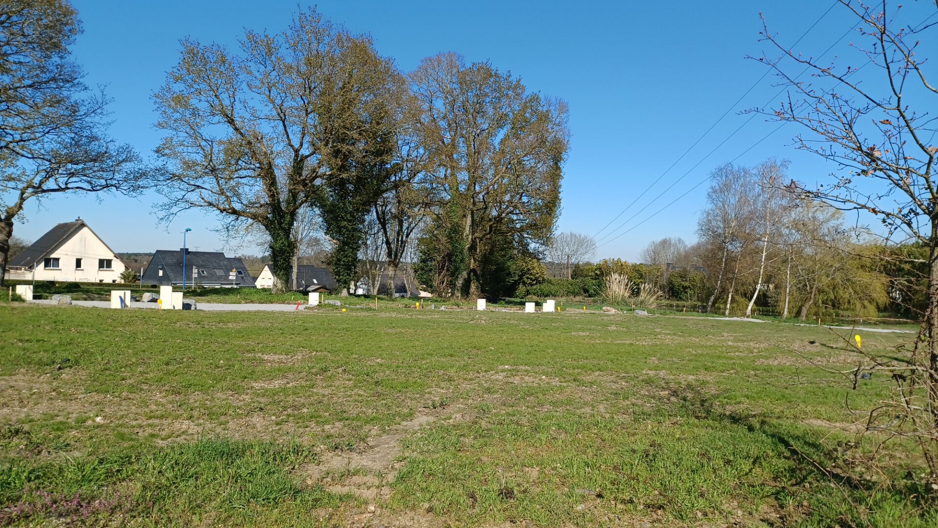 Vente Terrain à Saint-Dolay 0 pièce