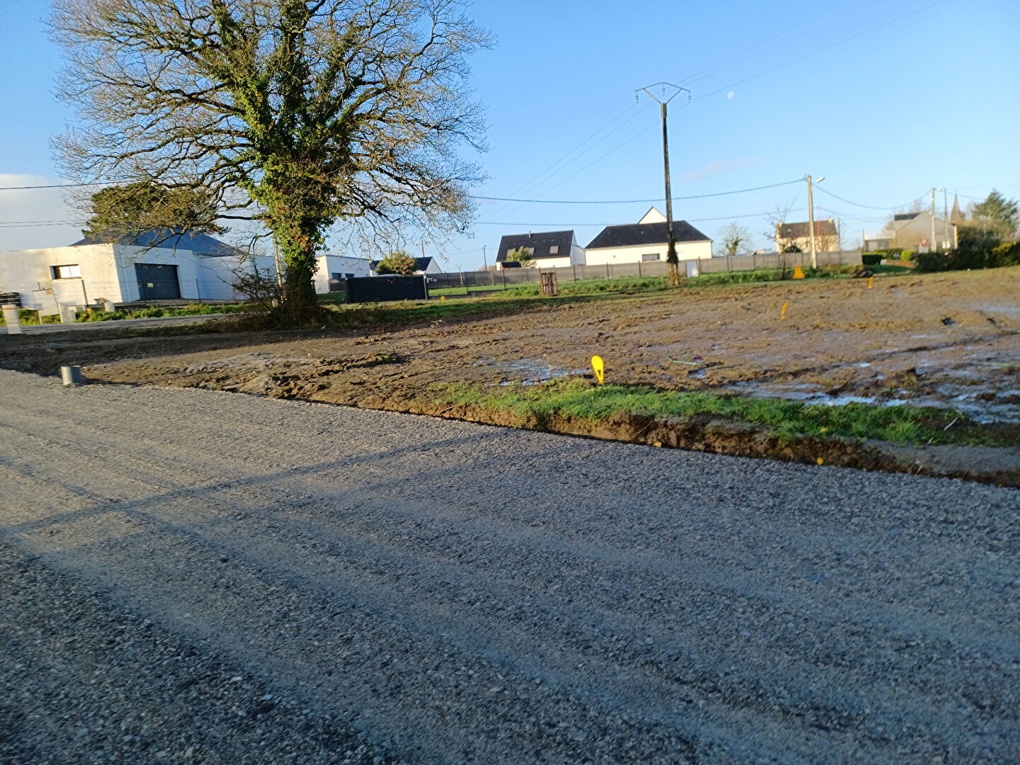 Vente Terrain à Saint-Dolay 0 pièce