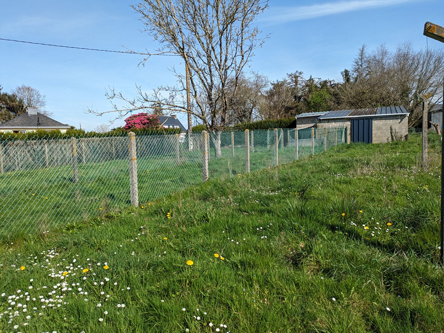 Vente Terrain à Saint-Dolay 0 pièce