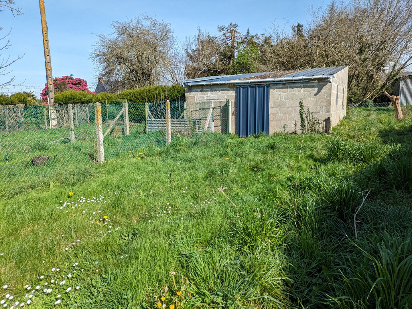 Vente Terrain à Saint-Dolay 0 pièce