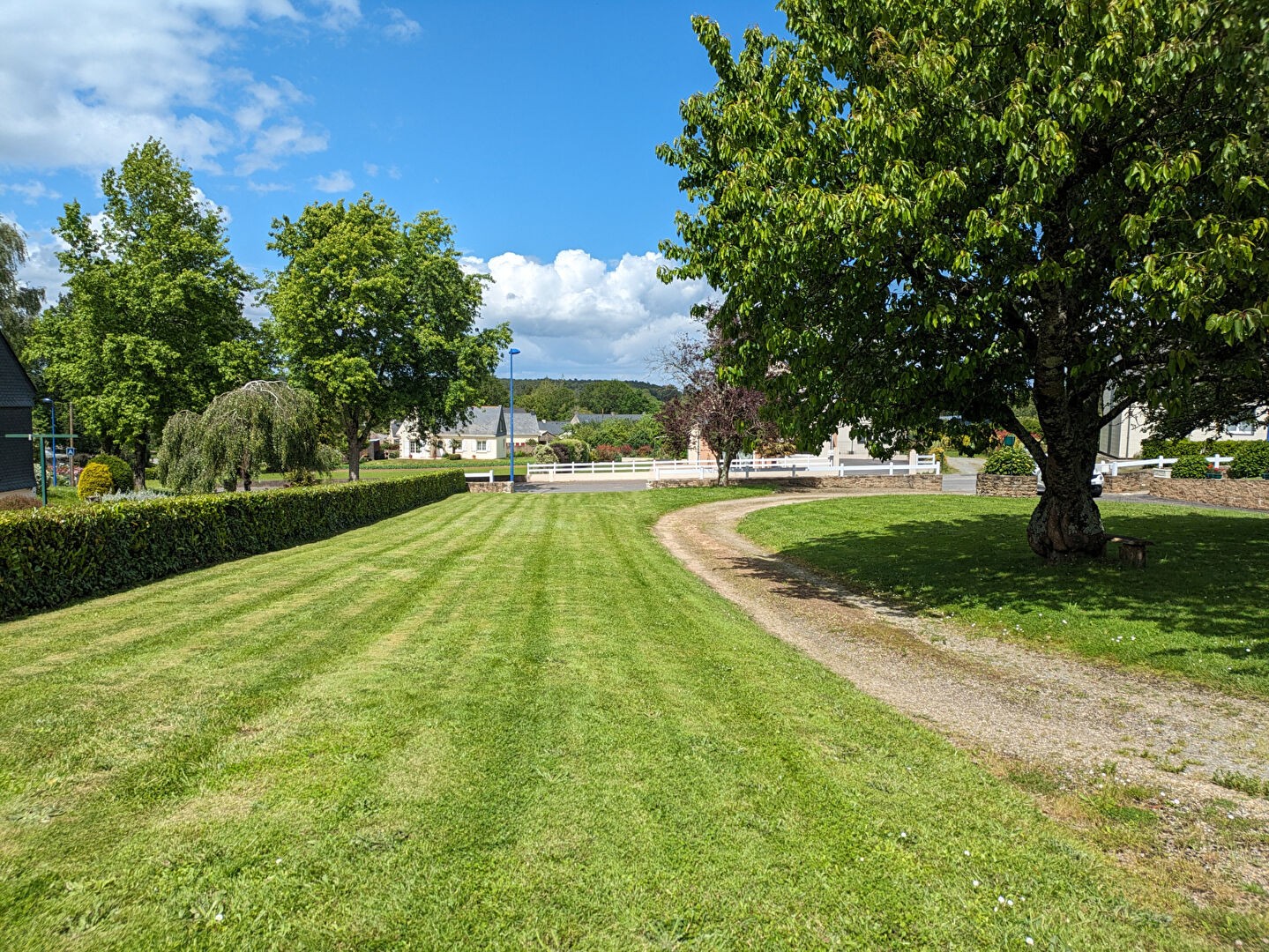 Vente Terrain à Saint-Dolay 0 pièce