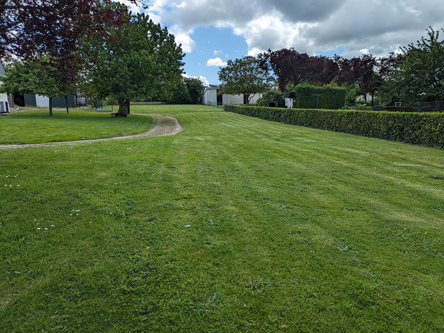 Vente Terrain à Saint-Dolay 0 pièce