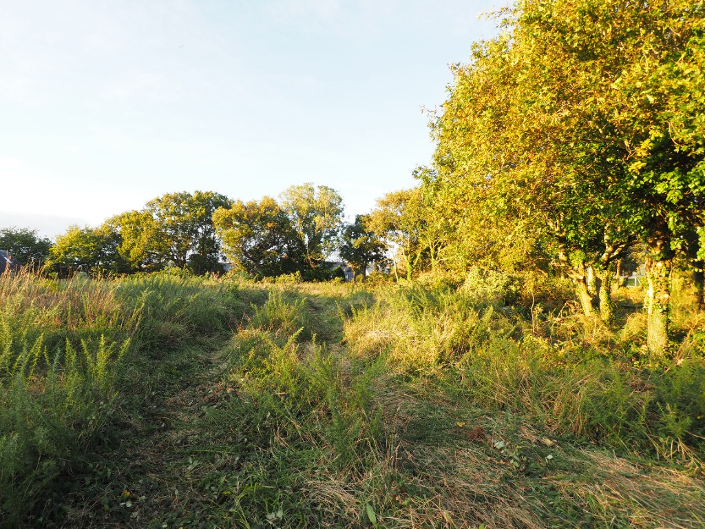 Vente Terrain à Concarneau 0 pièce