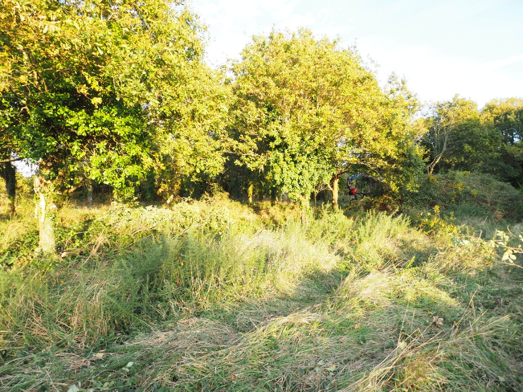 Vente Terrain à Concarneau 0 pièce