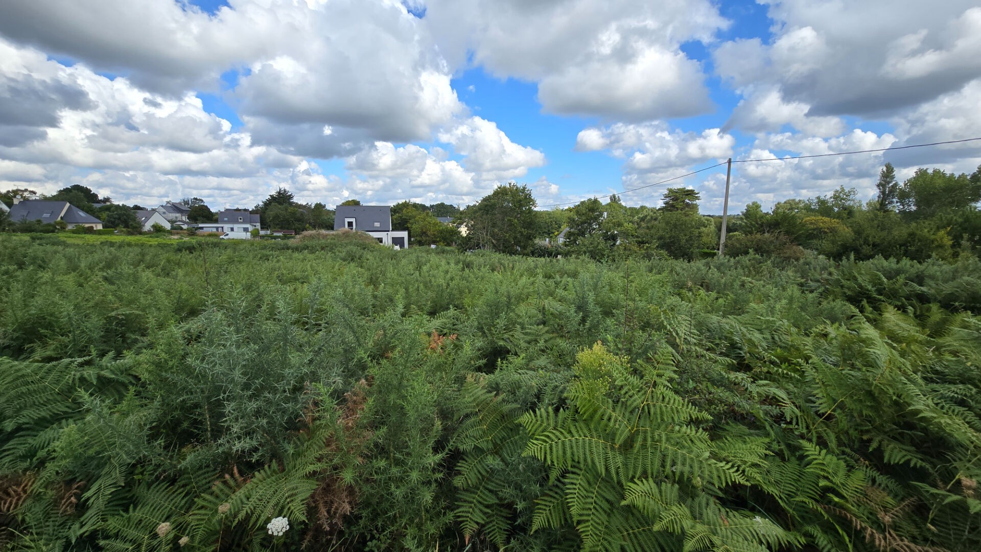 Vente Terrain à Trégunc 0 pièce