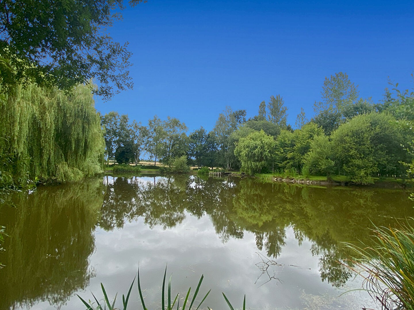 Vente Terrain à Saint-Domineuc 0 pièce