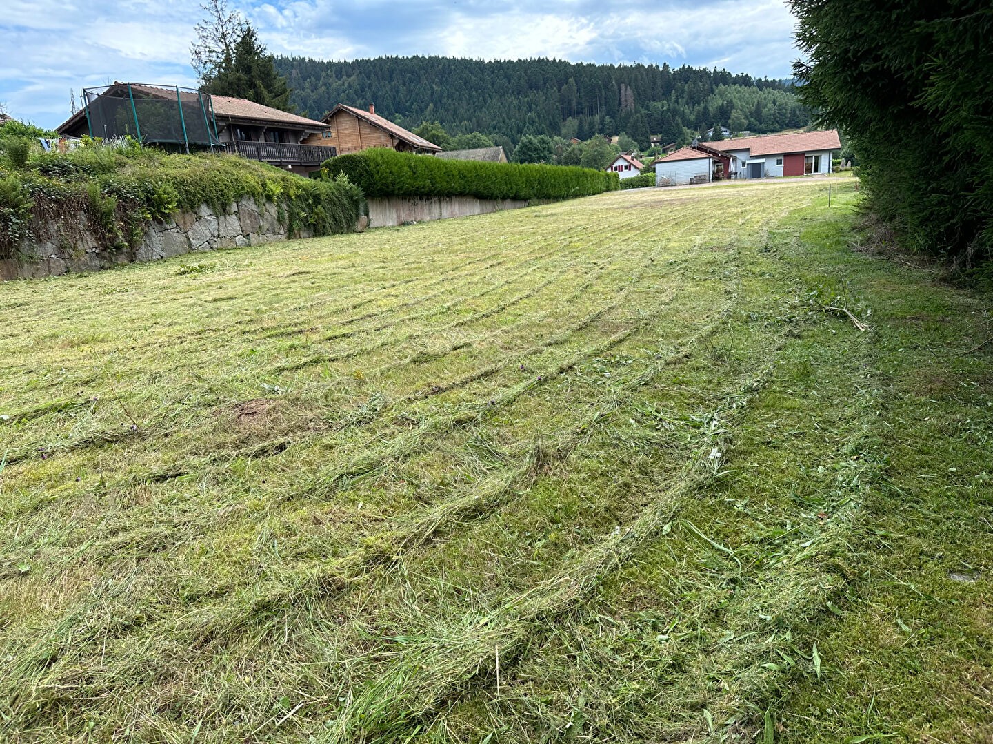 Vente Terrain à Xonrupt-Longemer 0 pièce