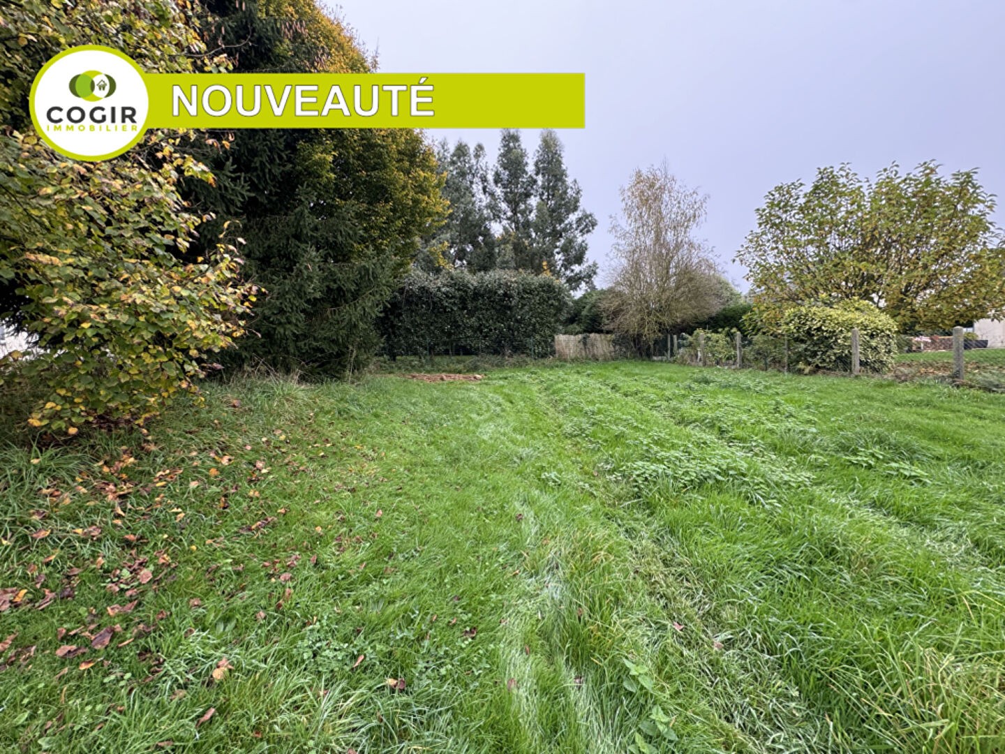 Vente Terrain à Montreuil-le-Gast 0 pièce