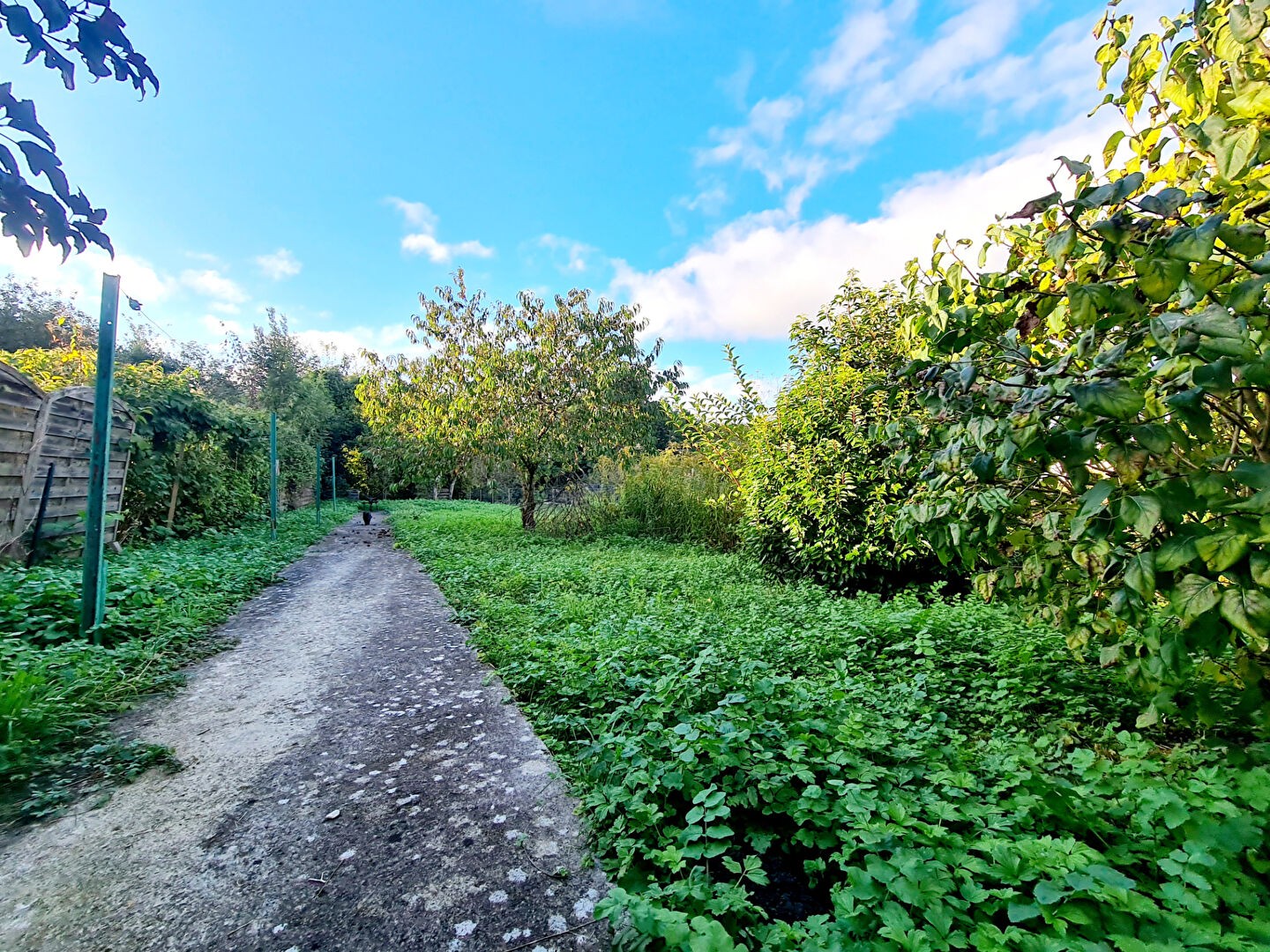 Vente Maison à Bologne 6 pièces