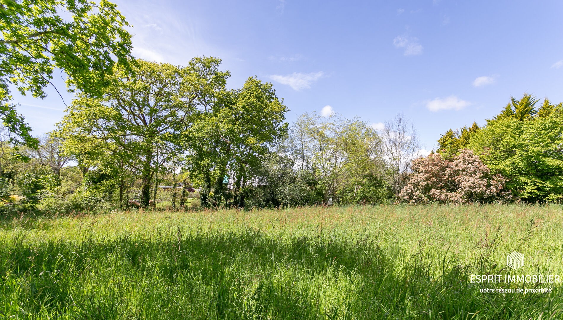 Vente Terrain à Névez 0 pièce