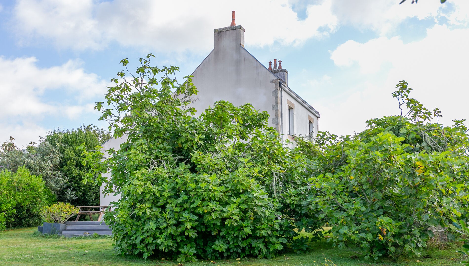 Vente Maison à Névez 5 pièces