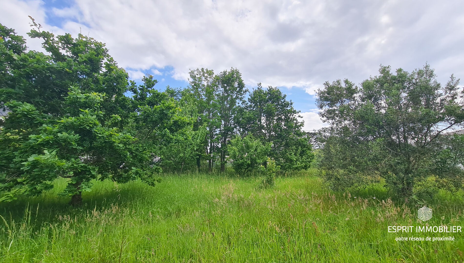 Vente Terrain à Névez 0 pièce