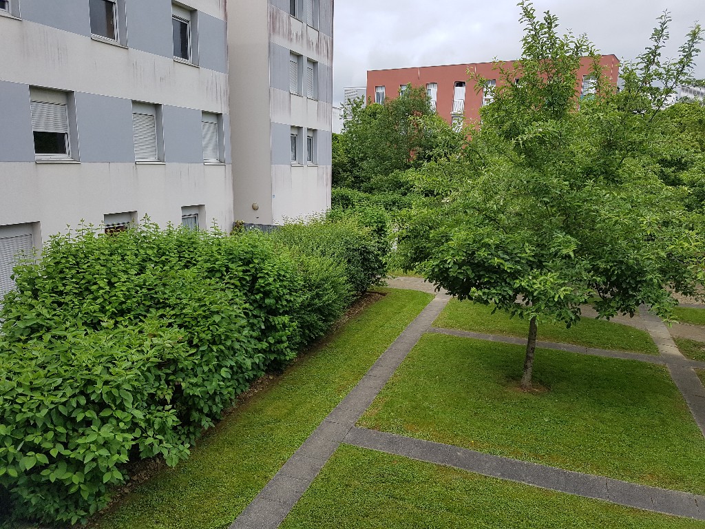 Location Appartement à Rennes 5 pièces