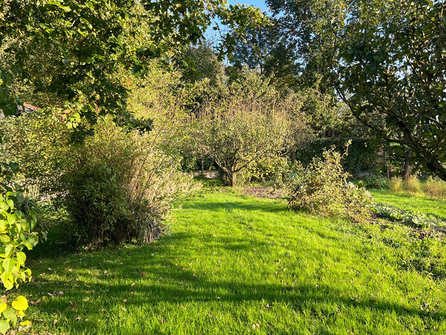 Vente Maison à la Mézière 6 pièces