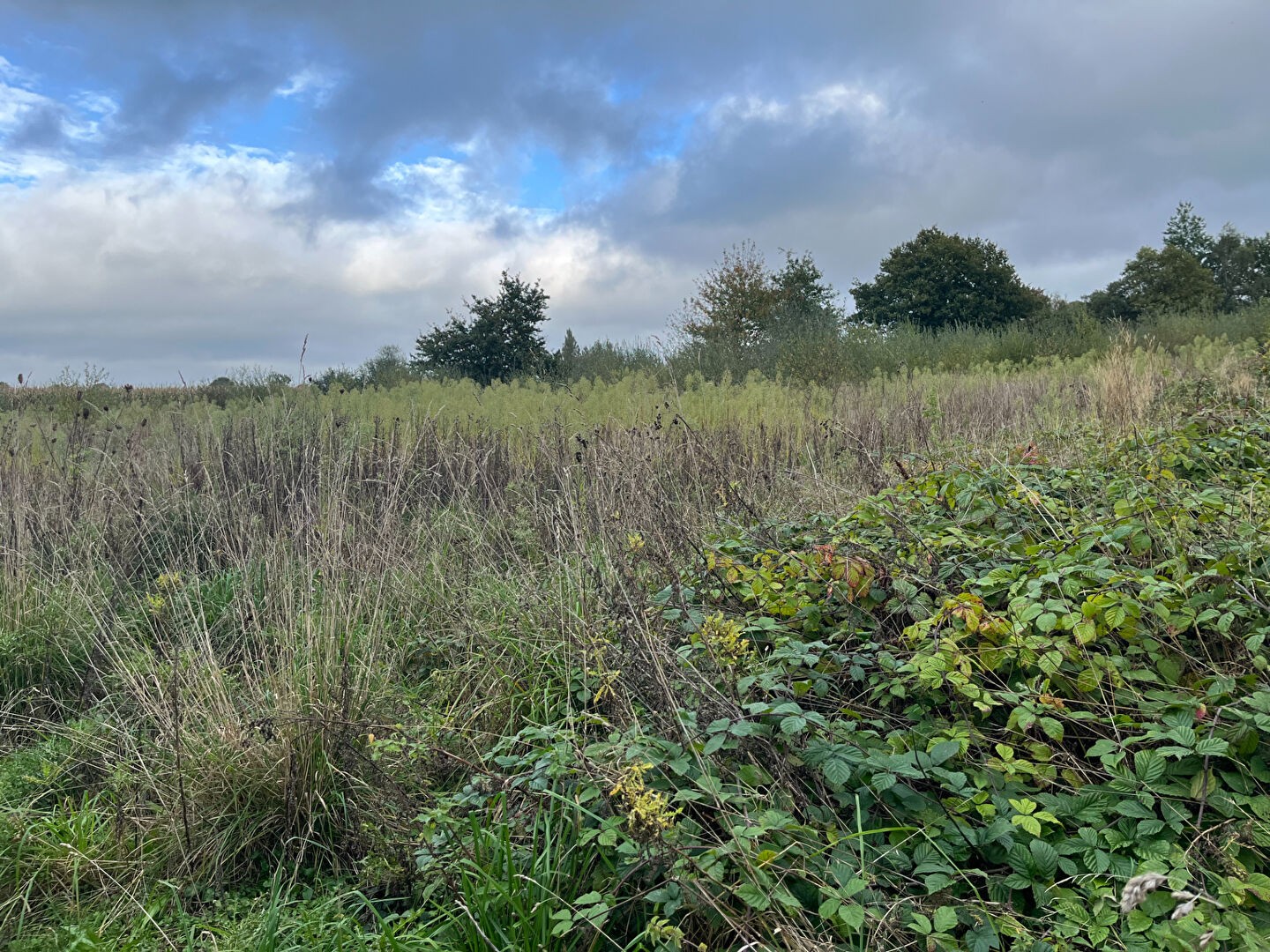 Vente Terrain à Montauban-de-Bretagne 0 pièce