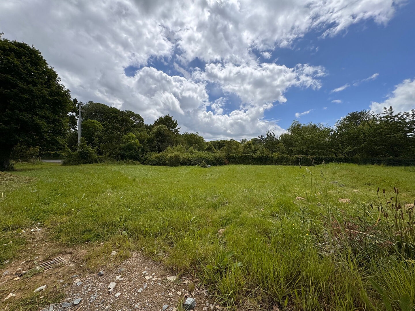 Vente Terrain à Argentré 0 pièce