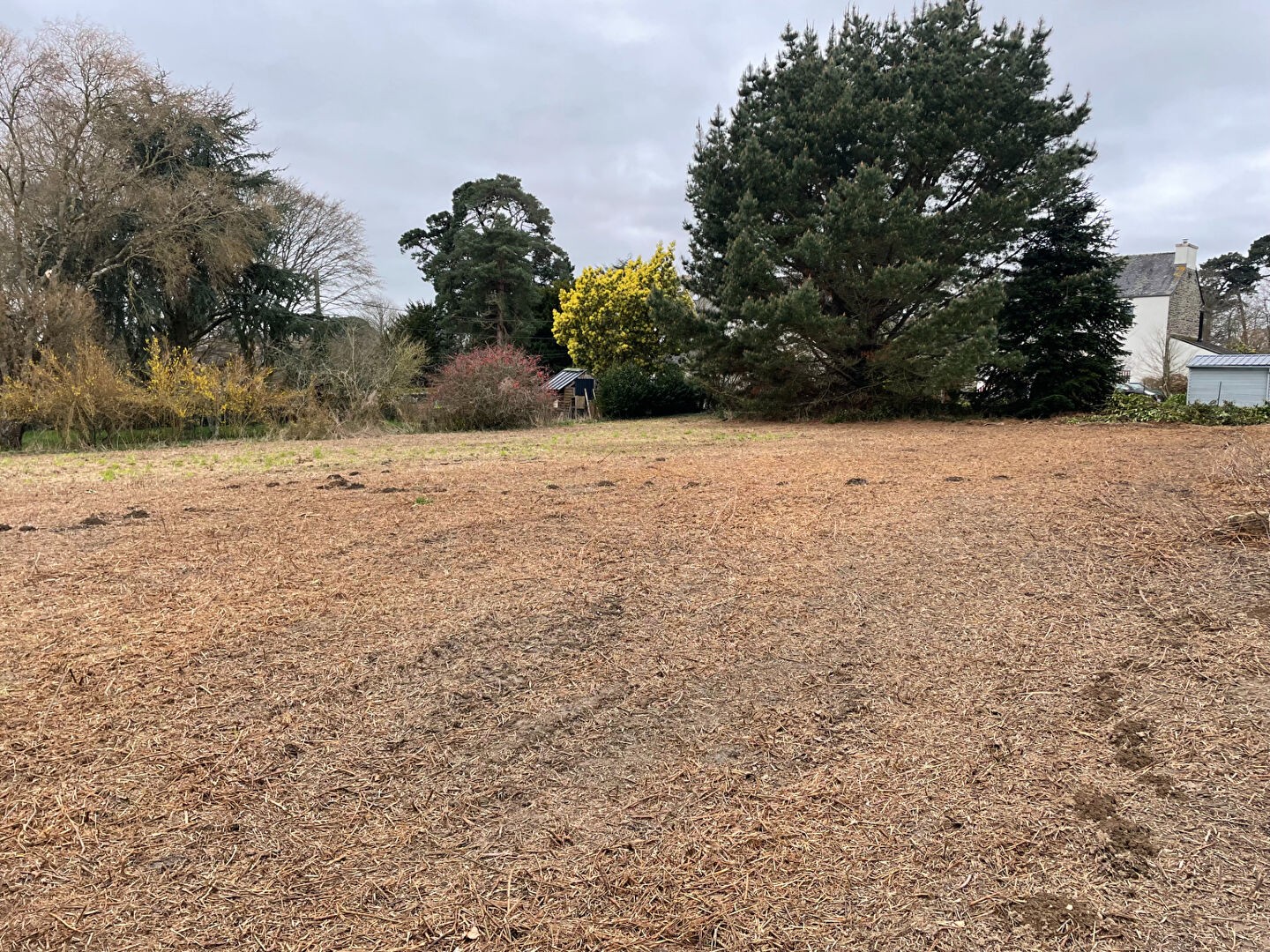 Vente Terrain à Morlaix 0 pièce