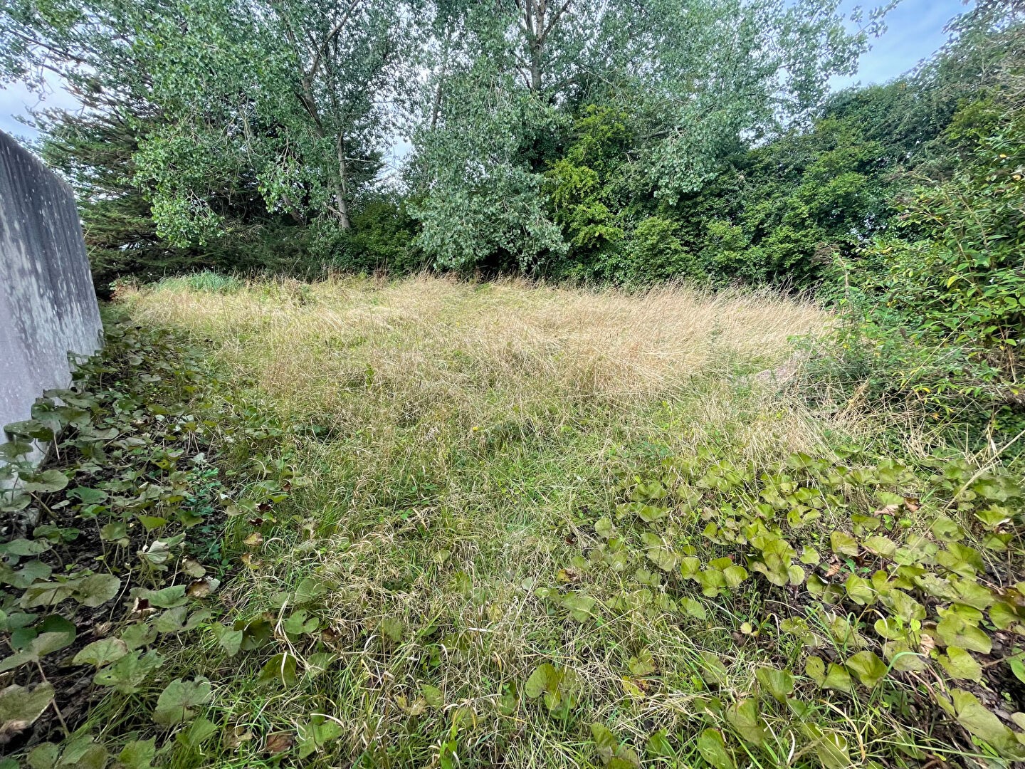 Vente Terrain à Morlaix 0 pièce