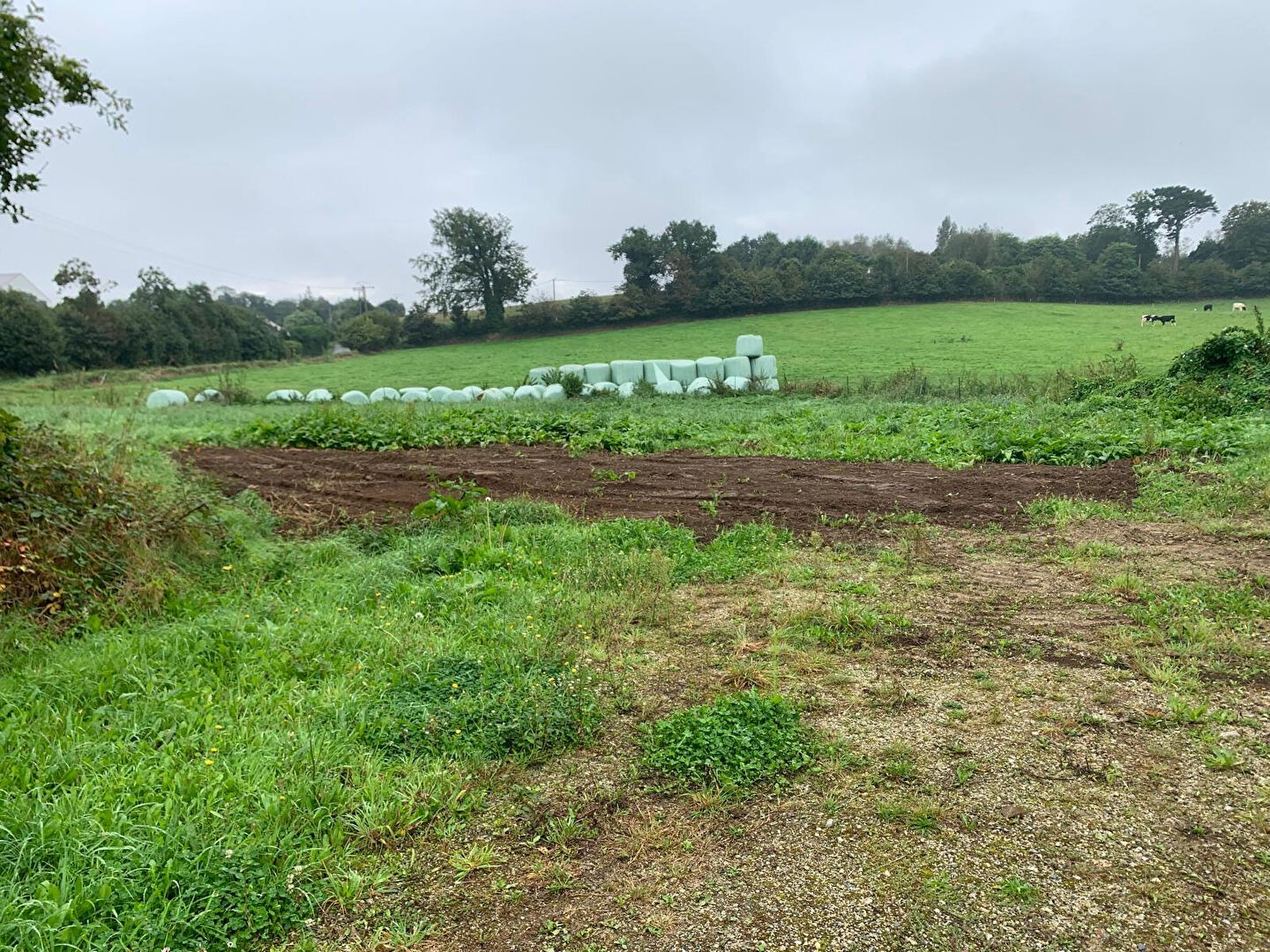 Vente Maison à Saint-Évarzec 12 pièces