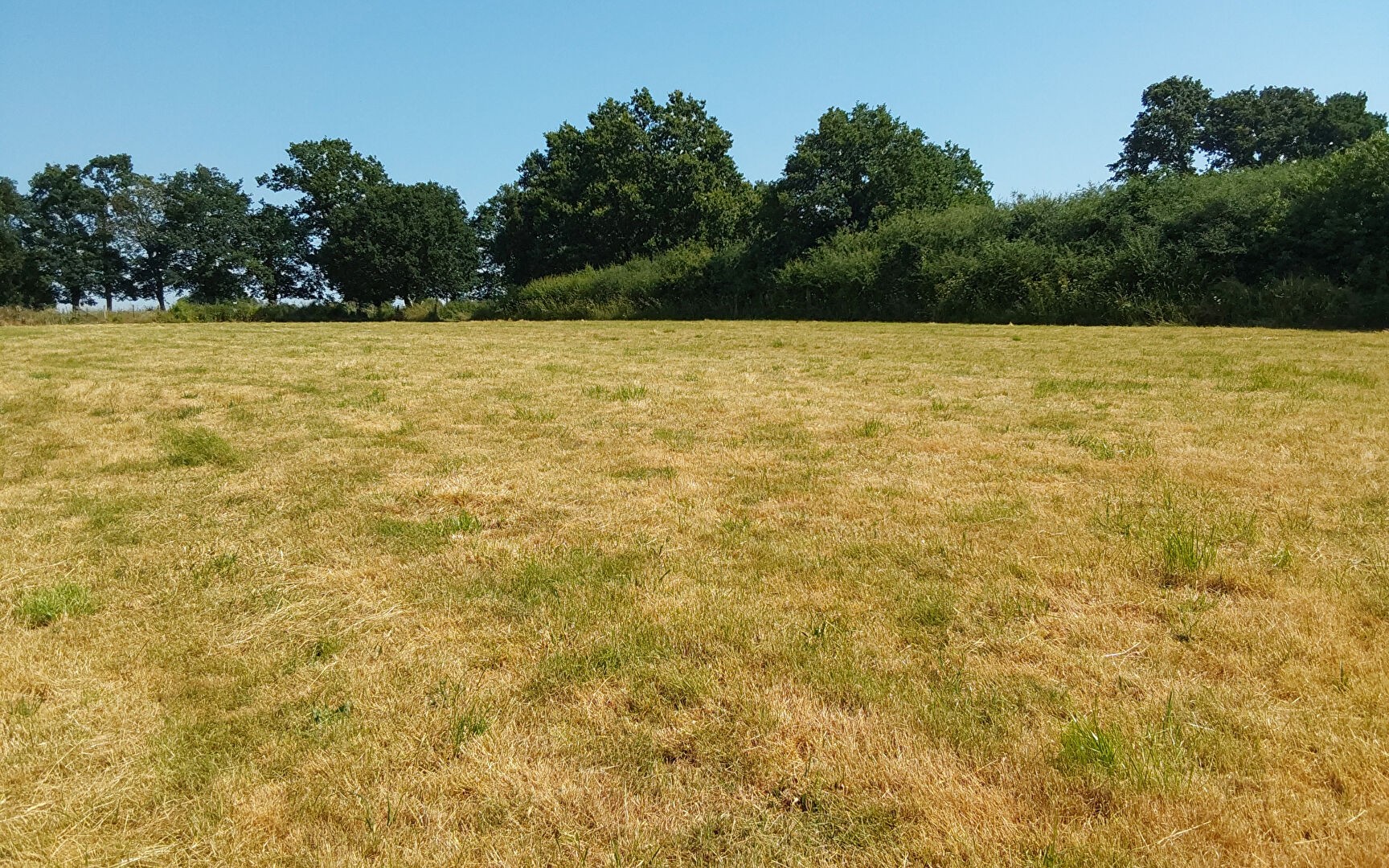 Vente Terrain à Pipriac 0 pièce