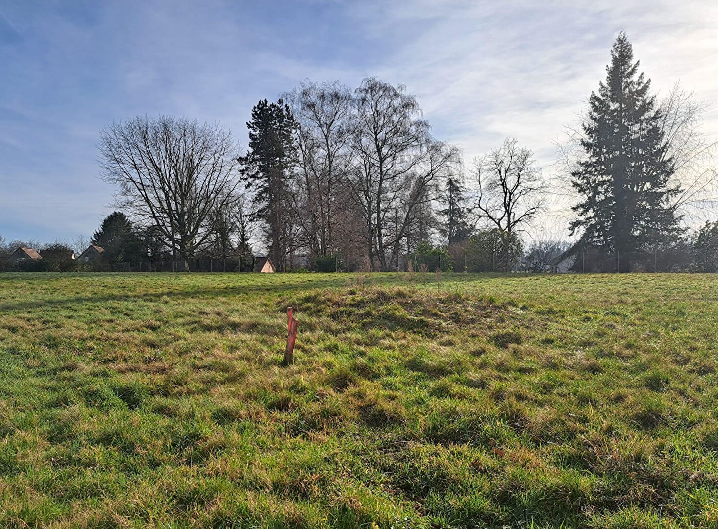 Vente Terrain à Saint-Germain-du-Bois 0 pièce