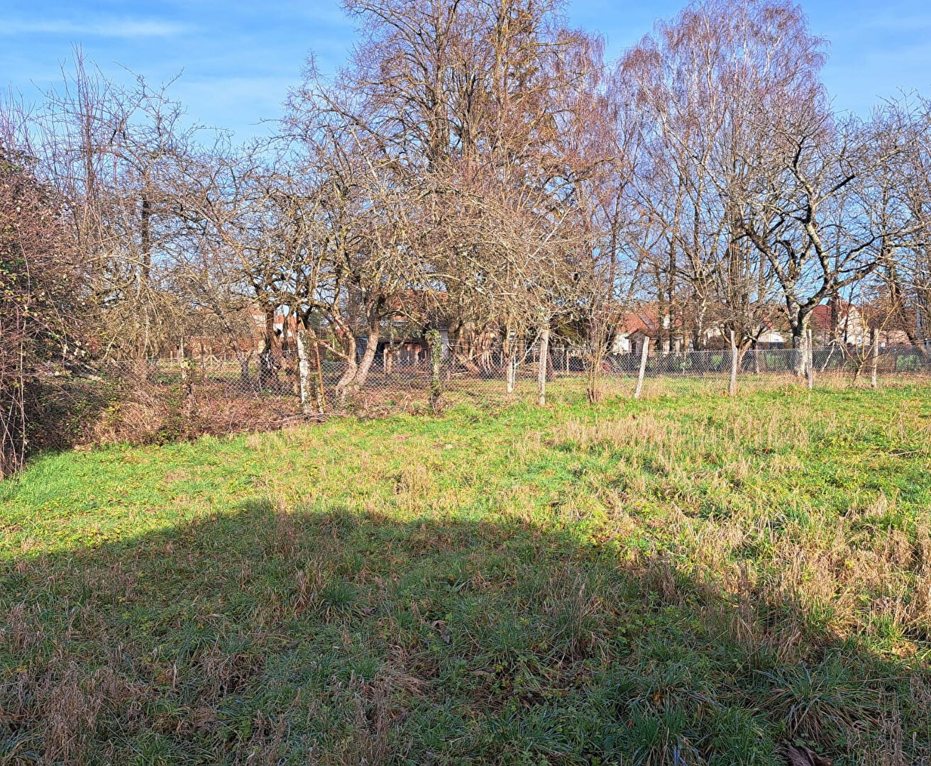 Vente Terrain à Saint-Germain-du-Bois 0 pièce