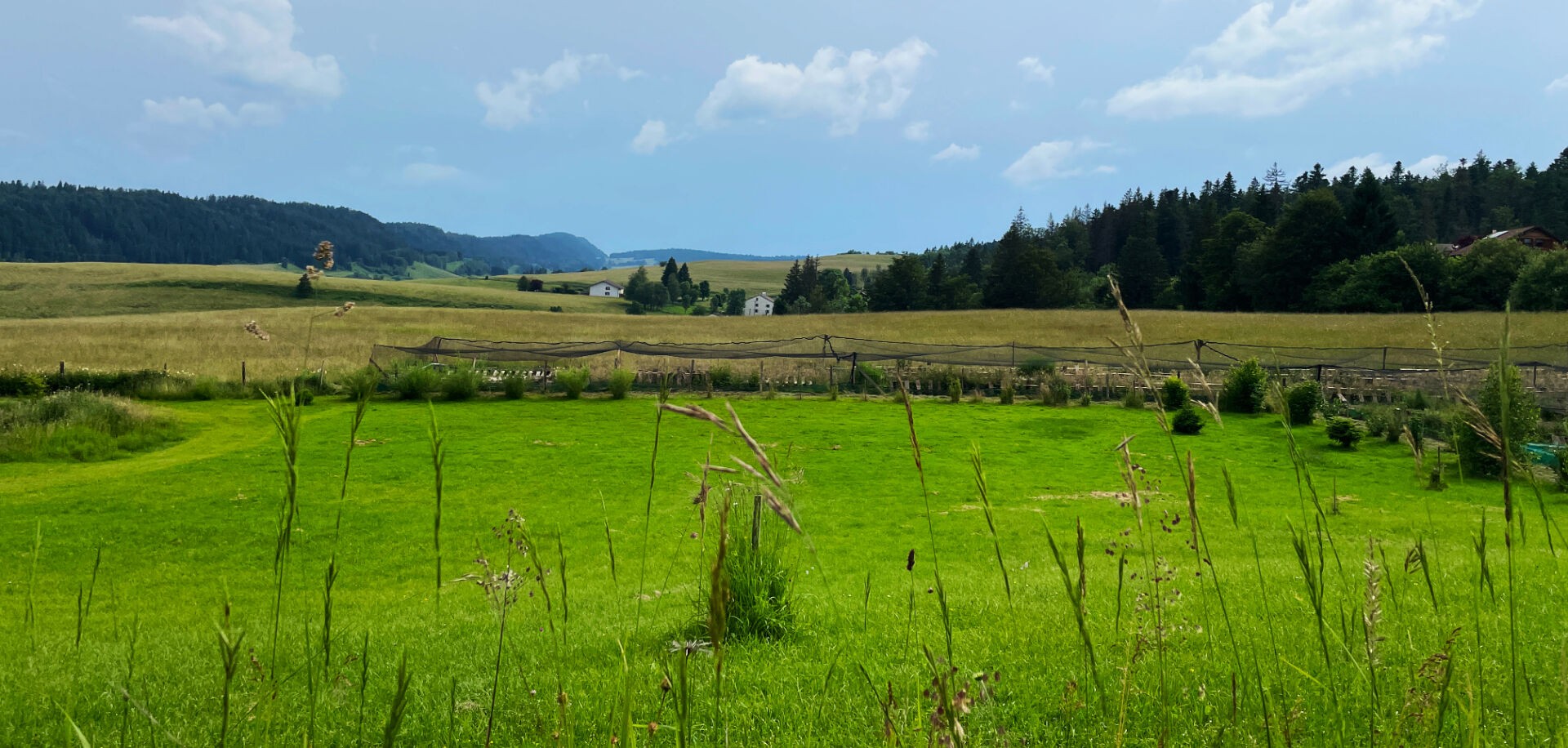 Vente Terrain à Chaux-des-Prés 0 pièce