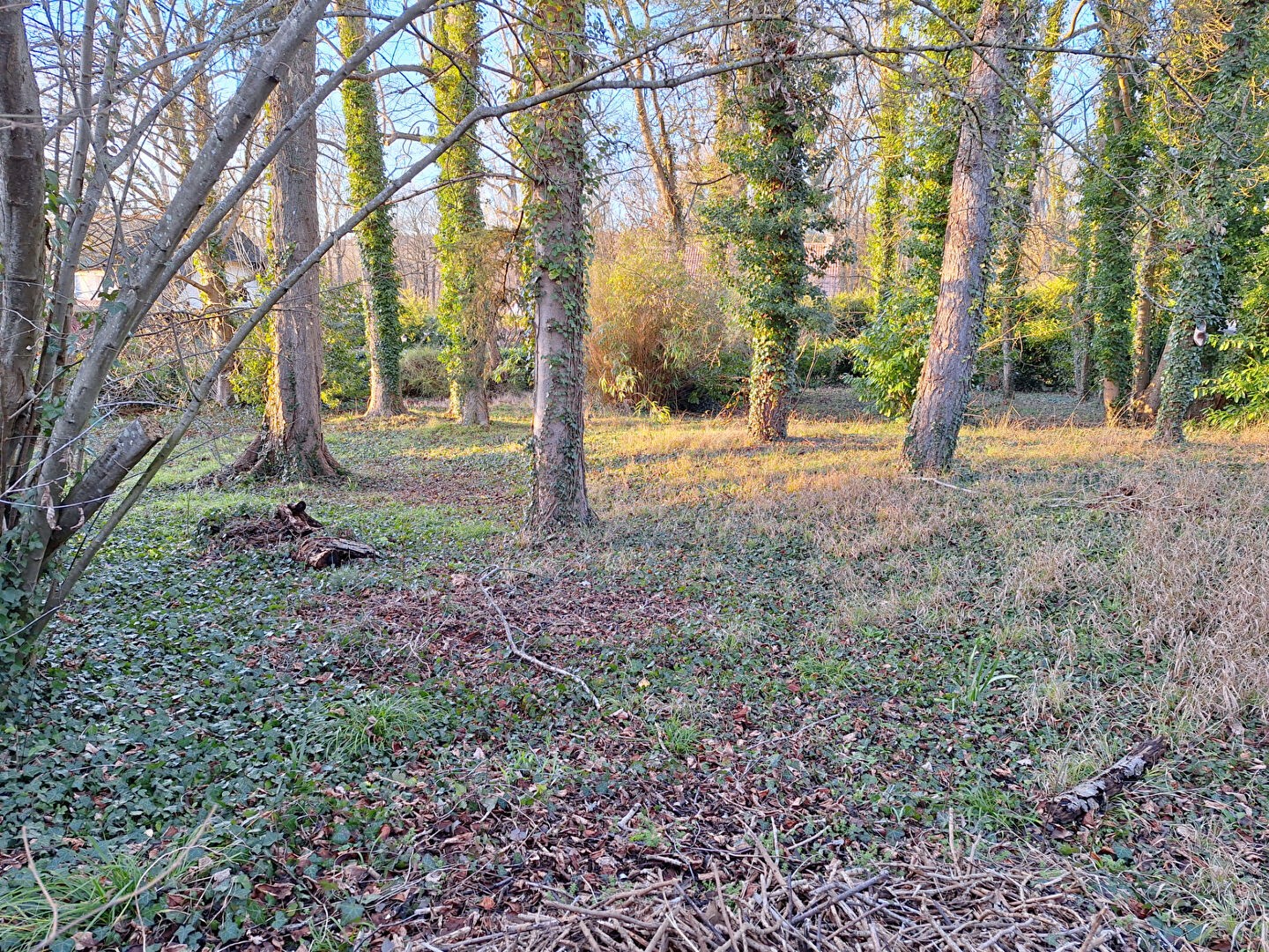 Vente Terrain à Maule 0 pièce