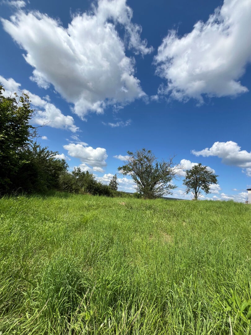 Vente Terrain à Toul 0 pièce