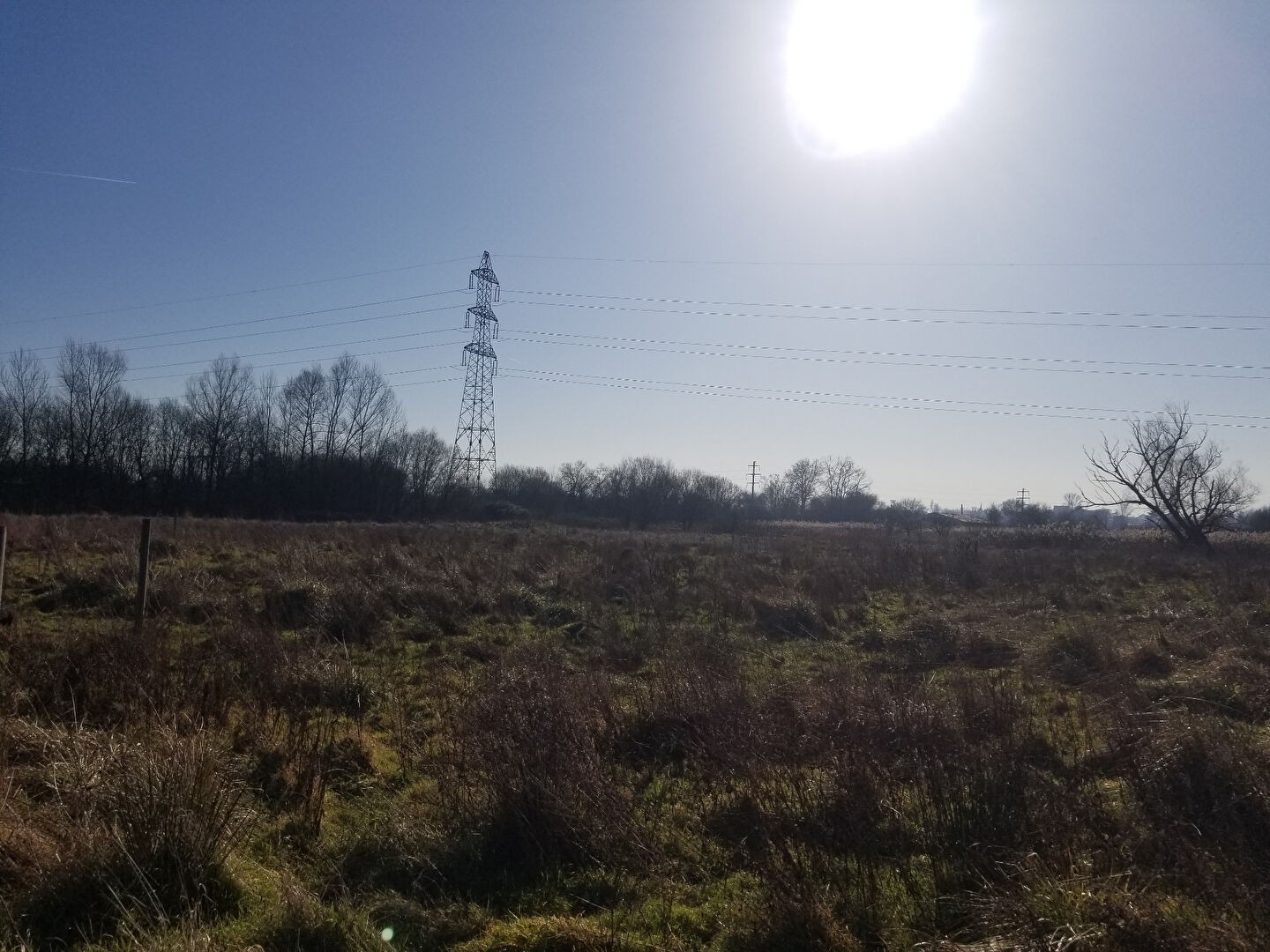 Vente Terrain à Bruges 0 pièce