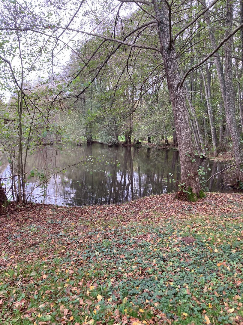 Vente Terrain à Achères 0 pièce