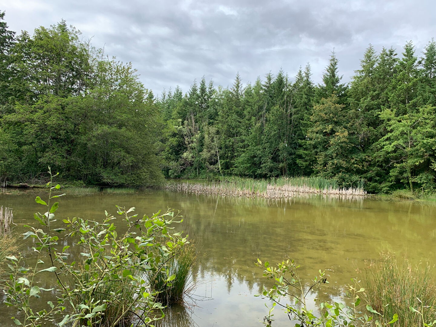 Vente Terrain à Coullons 1 pièce