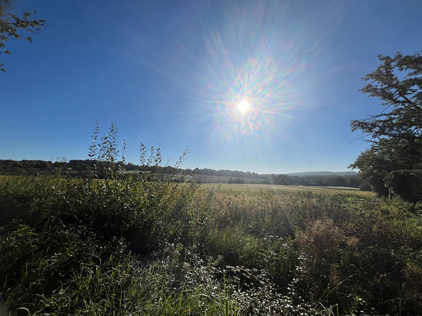 Vente Maison à Vailly-sur-Sauldre 3 pièces