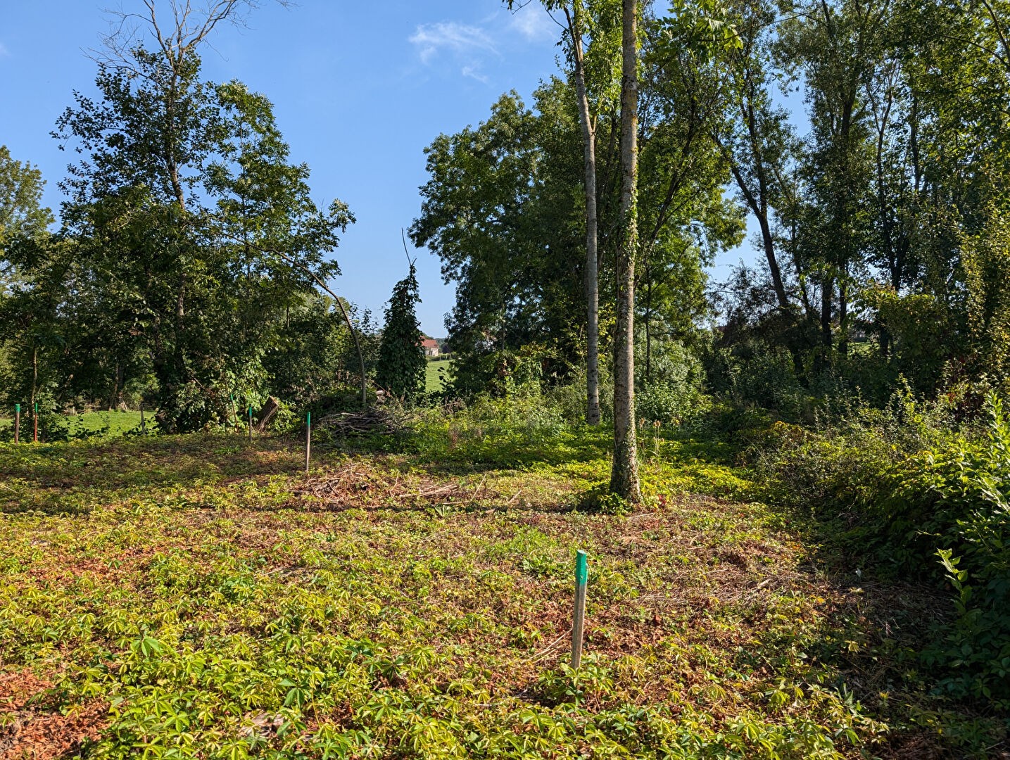 Vente Terrain à Dompaire 0 pièce