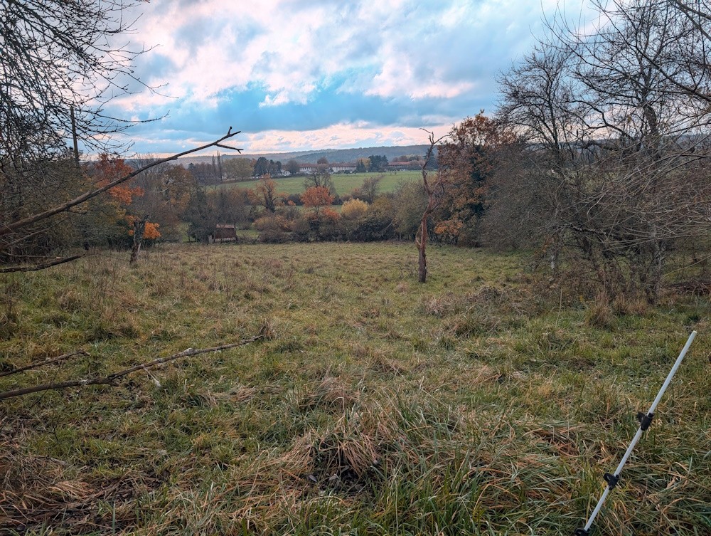 Vente Terrain à Mirecourt 0 pièce