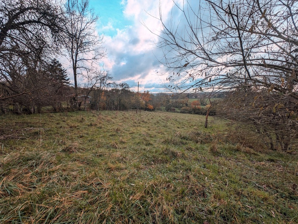 Vente Terrain à Mirecourt 0 pièce