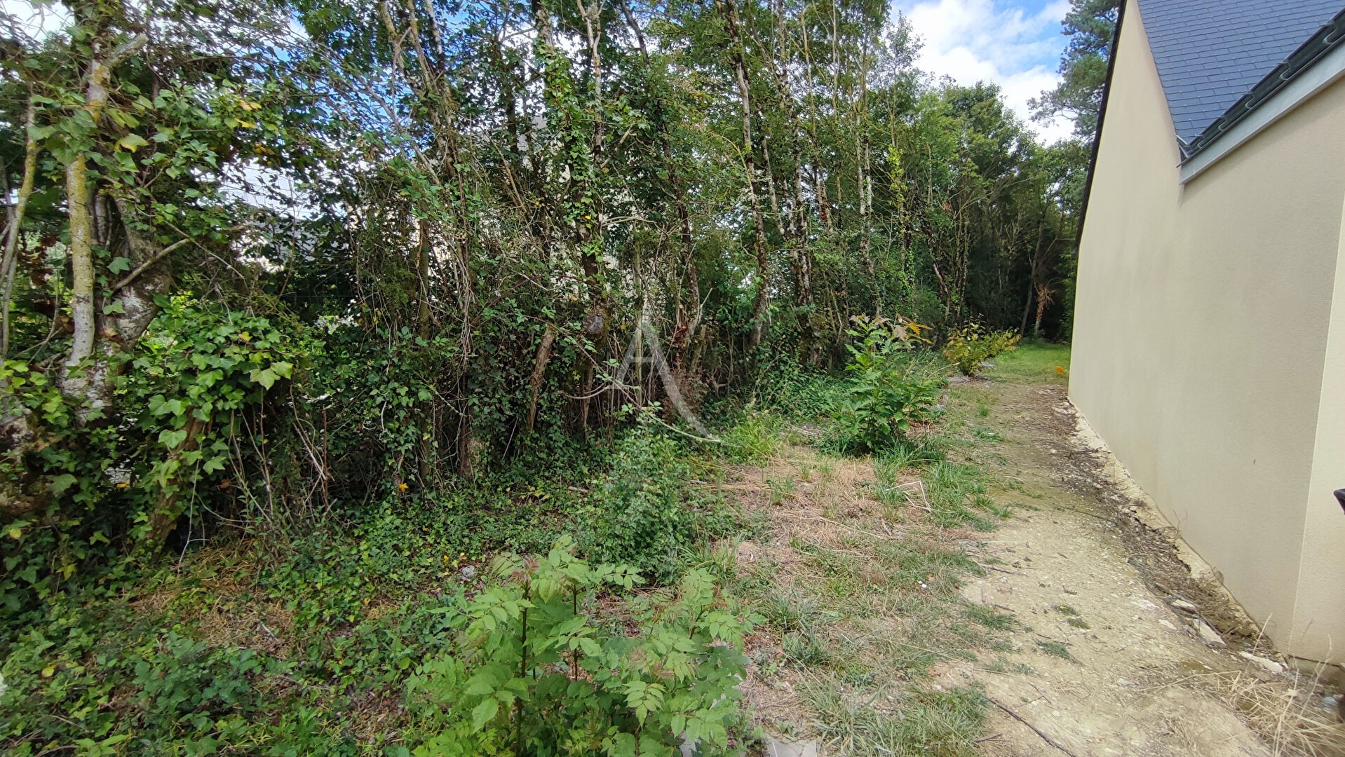 Vente Terrain à Saint-Augustin-des-Bois 0 pièce