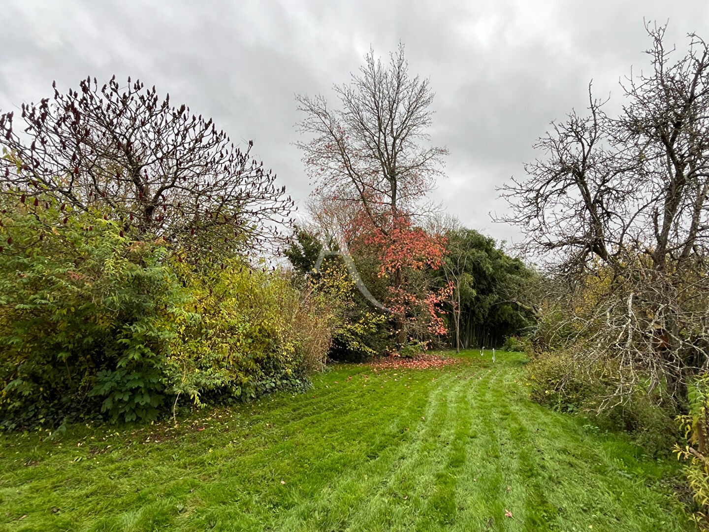 Vente Maison à Baugé-en-Anjou 7 pièces