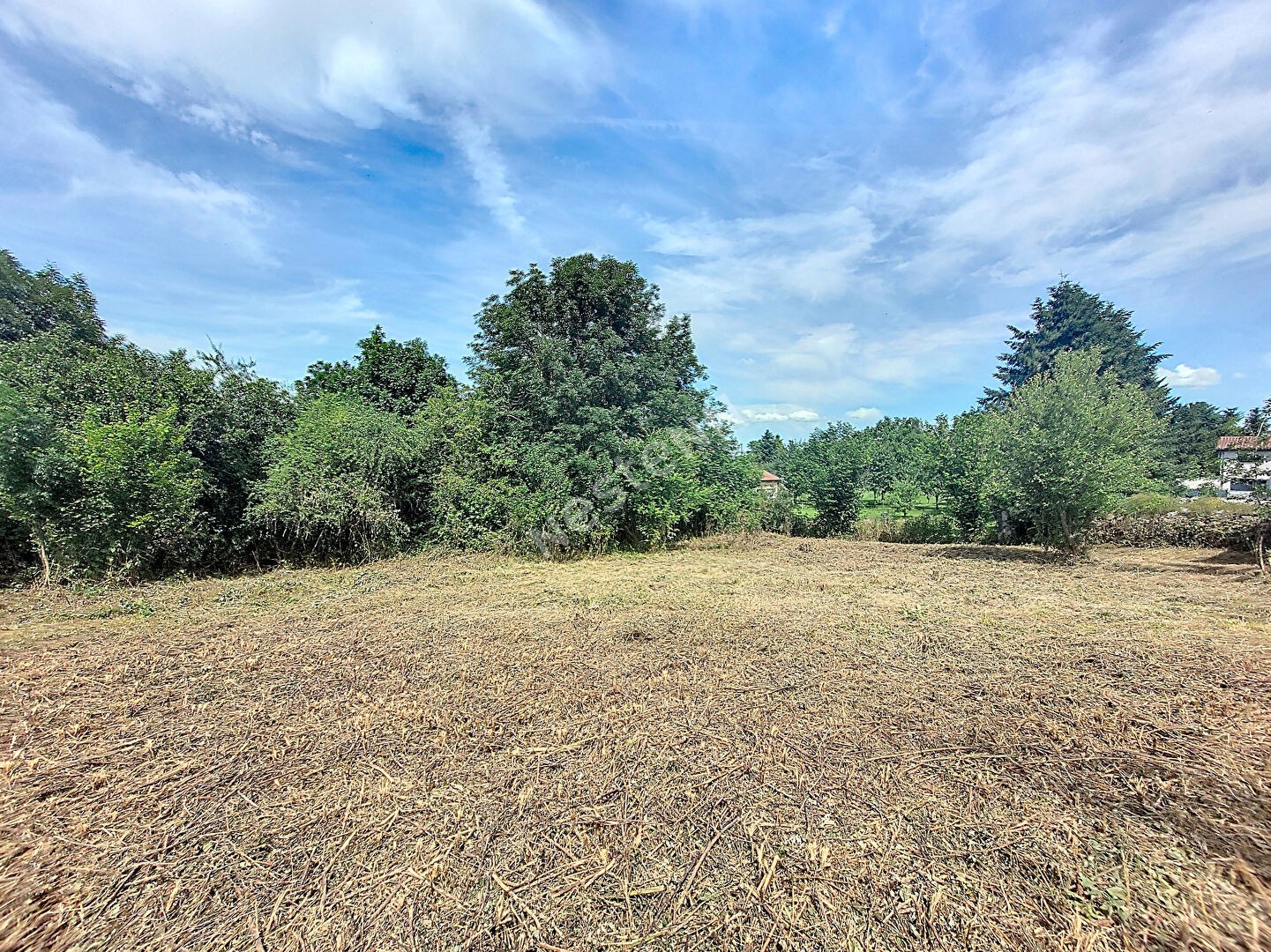 Vente Terrain à Saint-Maurice-de-Lignon 0 pièce