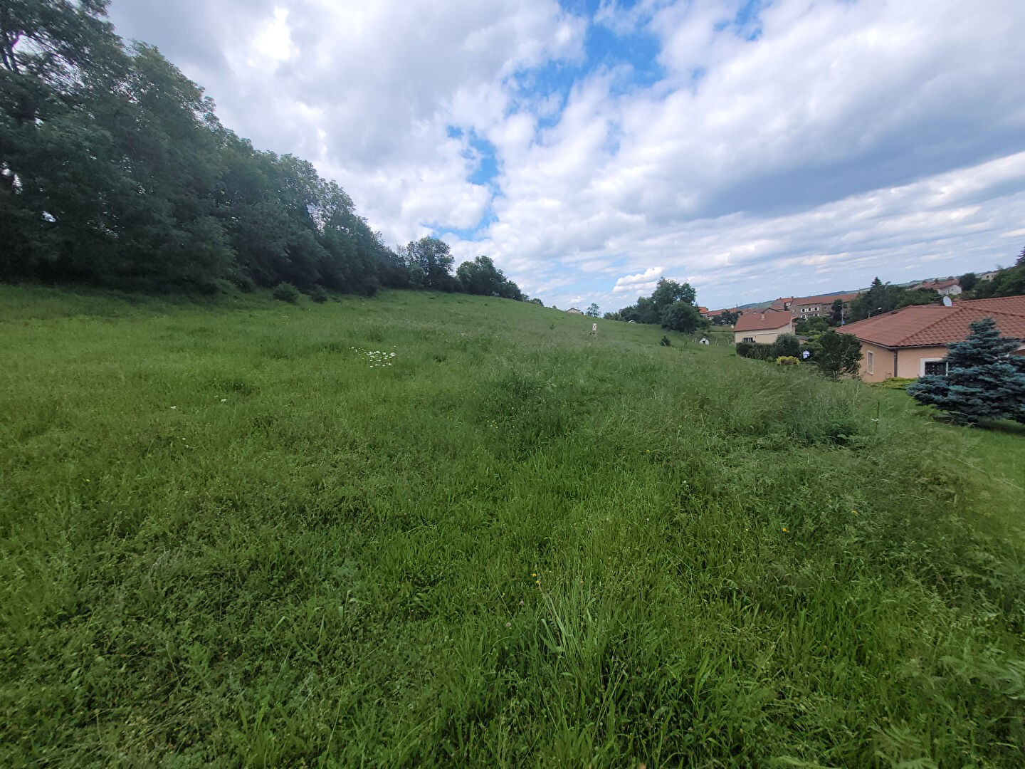 Vente Terrain à Beaux 0 pièce